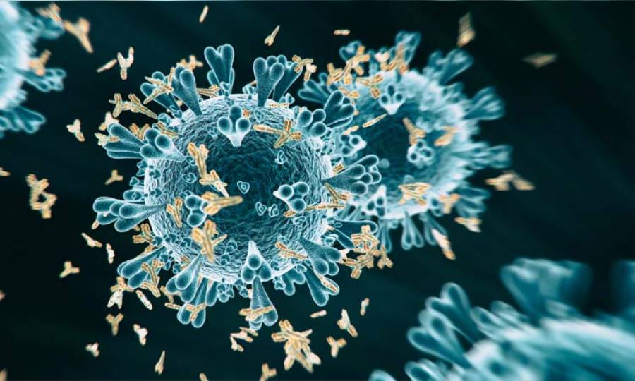 Coronavirus takes 15 more lives in Sindh  