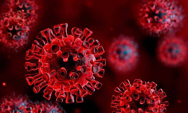 COVID-19 claims 9 more patients, infects 498 others