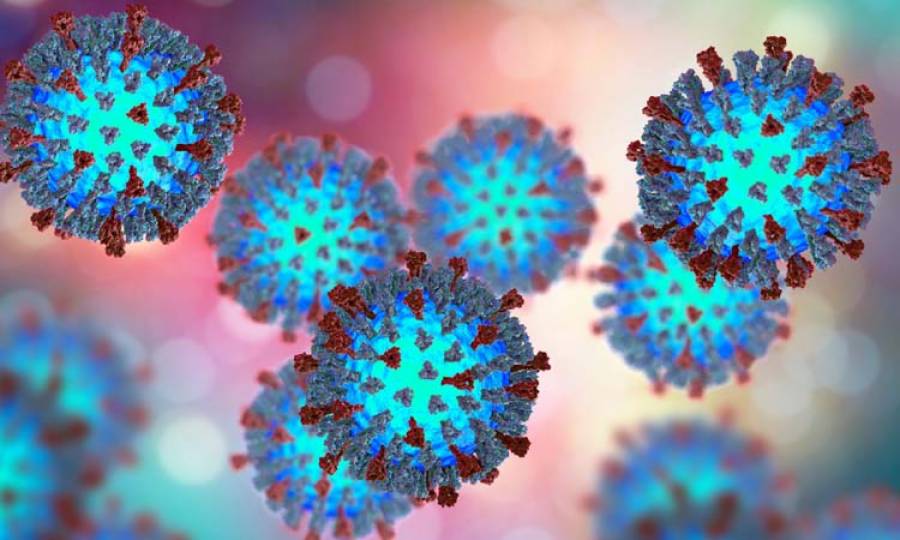 Azra Pechuho heads meeting to eradicate measles and rubella  