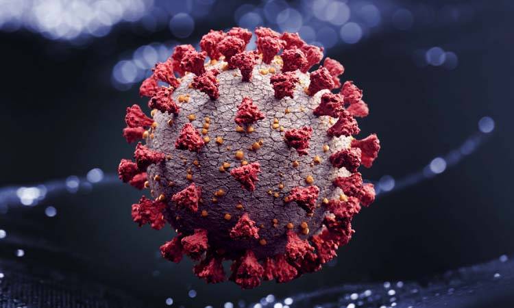 COVID-19 claims 20 more patients, infects 606 others