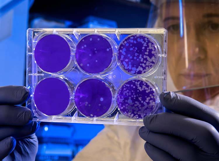 Increased Antibiotic Efficacy Against Superbugs: Research