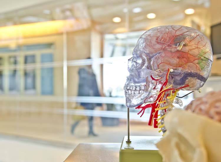 10th National Stroke Awareness Conference Begins In Karachi 