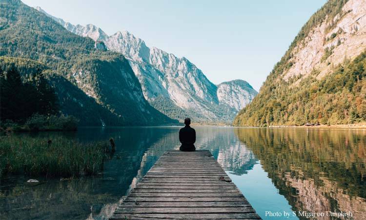 The Connection Between Health and Wellness