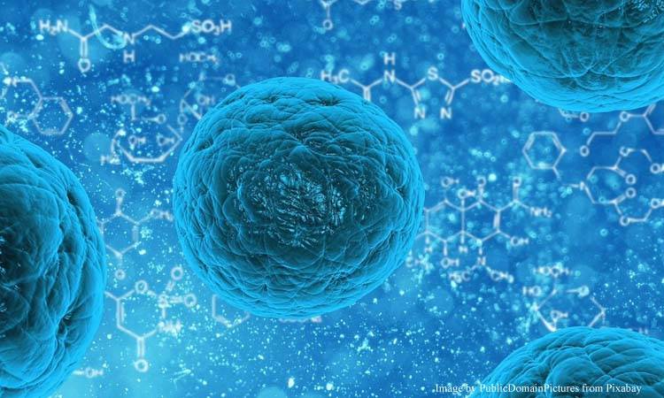 'Mysterious Virus' Grips Karachi, Causes Platelet Shortage In Hospitals