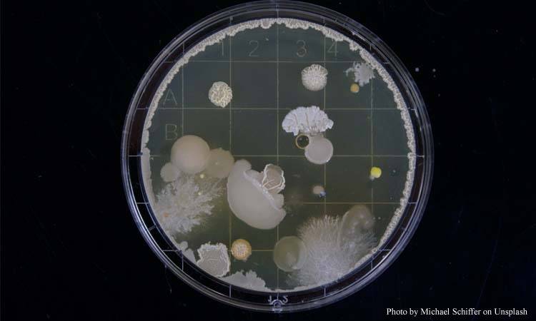World Antimicrobial Awareness Day: Handle With Care