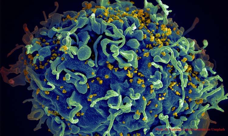 Punjab Health Minister vows to eradicate HIV/AIDS 