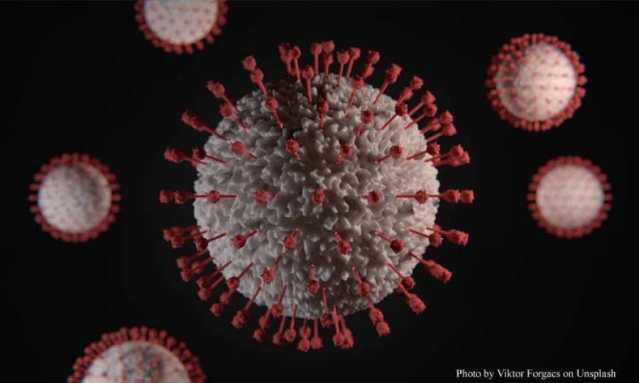 Omicron resembles a common-cold virus: Researchers