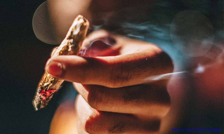 Pakistan to legalise hemp
