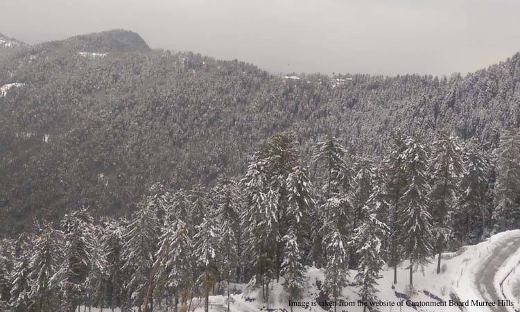 22 people die in Murree