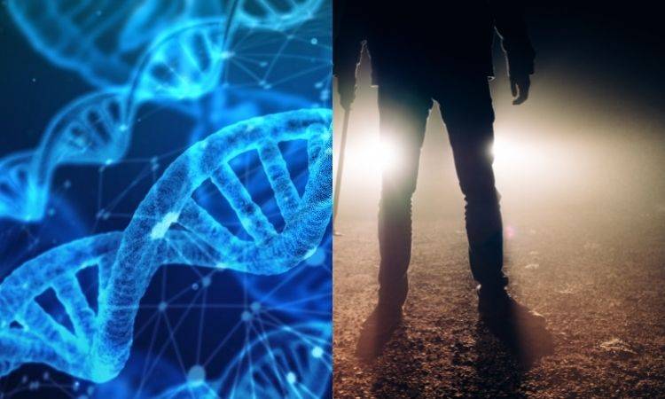 DNA tests show two medical students murdered by same person