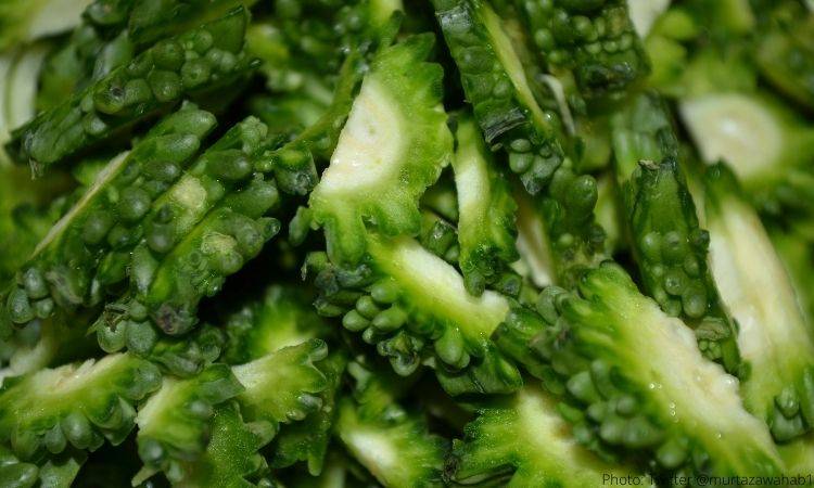 Eating bitter melon can help lower blood sugar levels