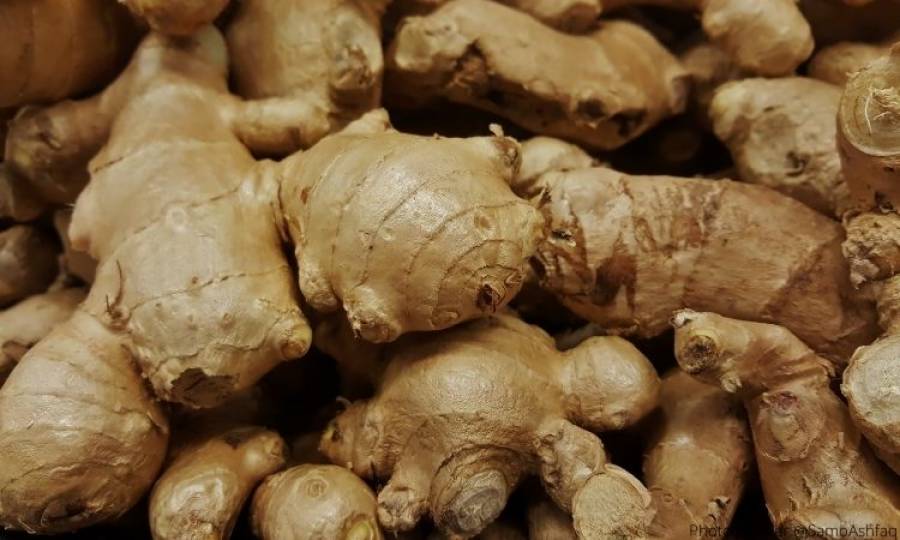 Ginger can be effective against COVID 19: experts