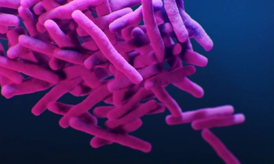 How does tuberculosis affect our bodies?
