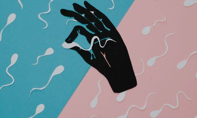 US donor sperm babies will soon be able to know about their parents