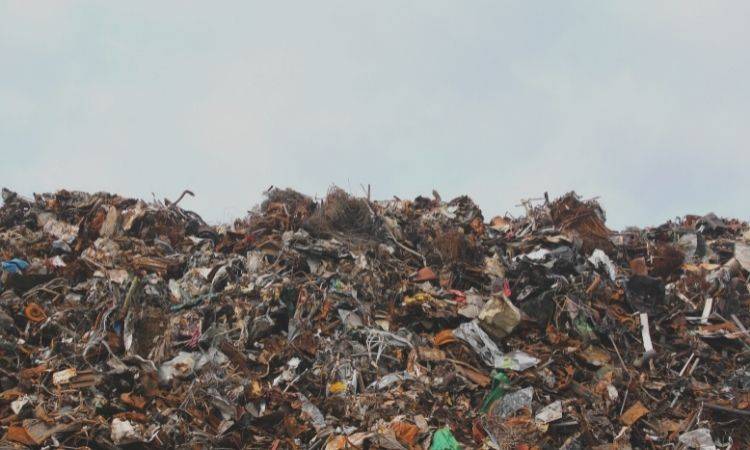 Waste from the Sindh Govt Hospital dumped in the middle of the road