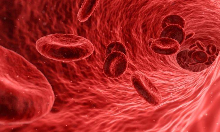 Federal Govt on high alert for Monkeypox 