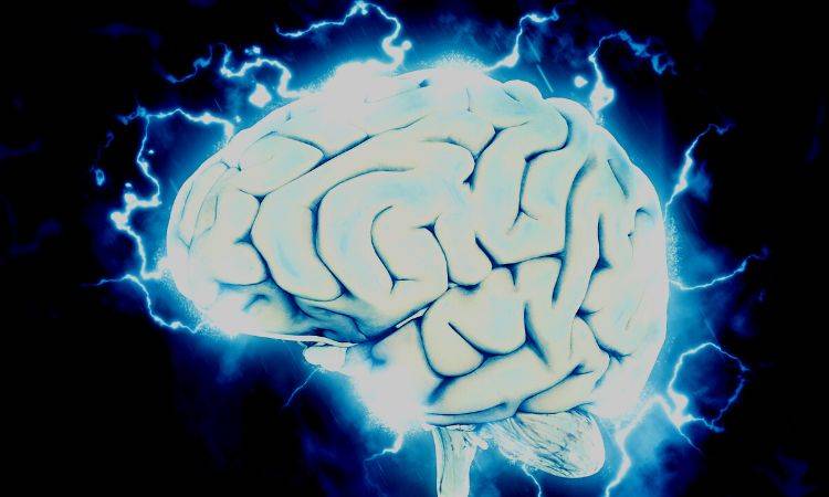 Naegleria (brain-eating amoeba) claims two more lives in Karachi