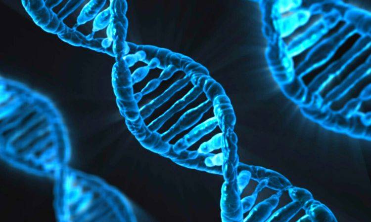 SFDL to hold DNA training session for MLOs 