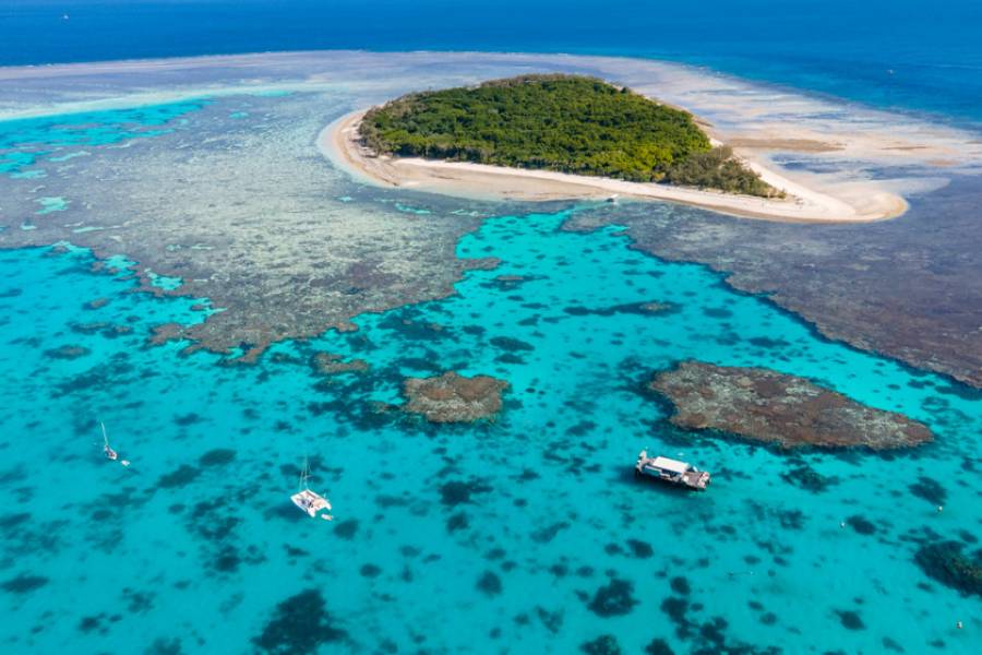 Great Barrier Reef in danger of plastic pollution