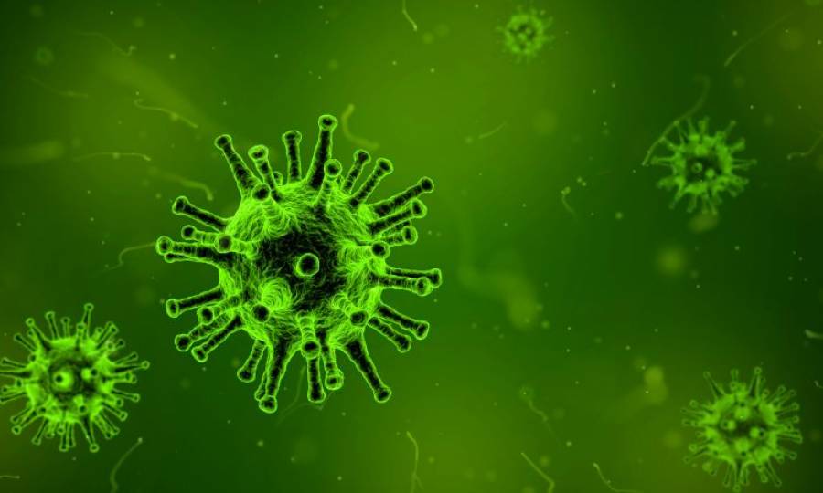 Poliovirus found in sewage of seven cities