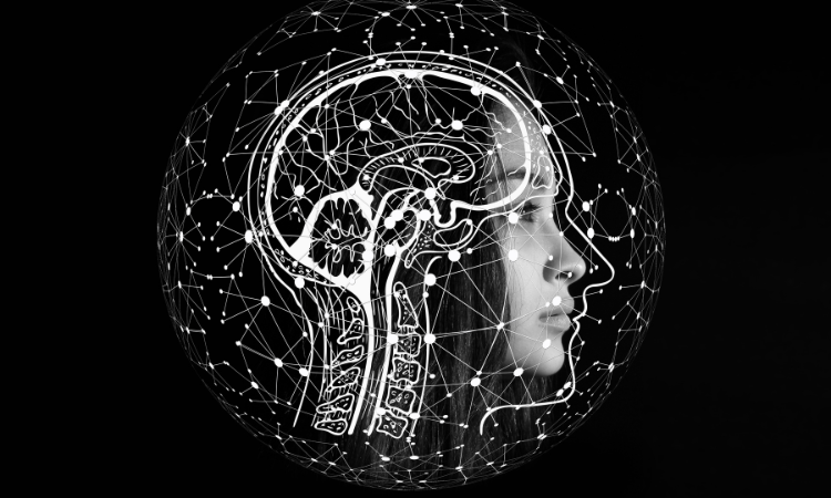 Association of lipoprotein (a) levels with cerebral artery diseases: Research