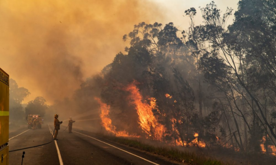 Study from “Black Tuesday” bushfires finds link to PTSD 