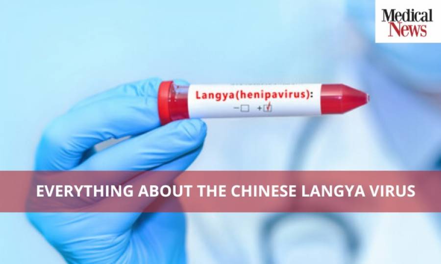 What is the Chinese Langya Virus?