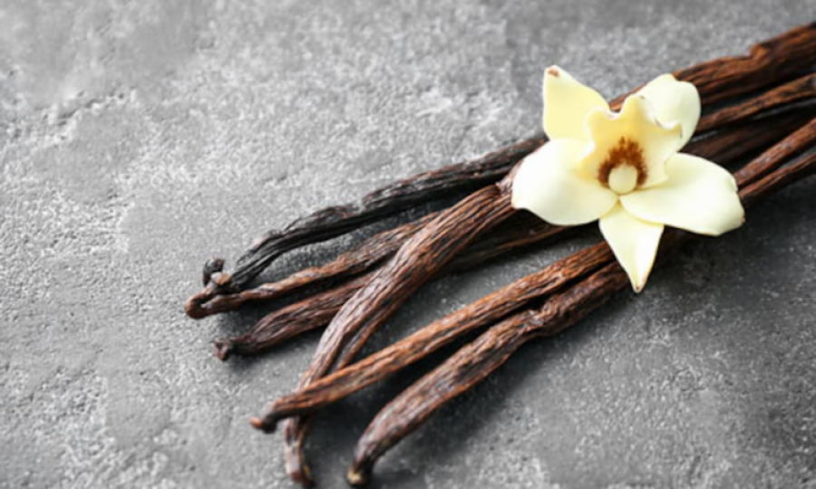 The chemical secrets behind vanilla’s allure: Study