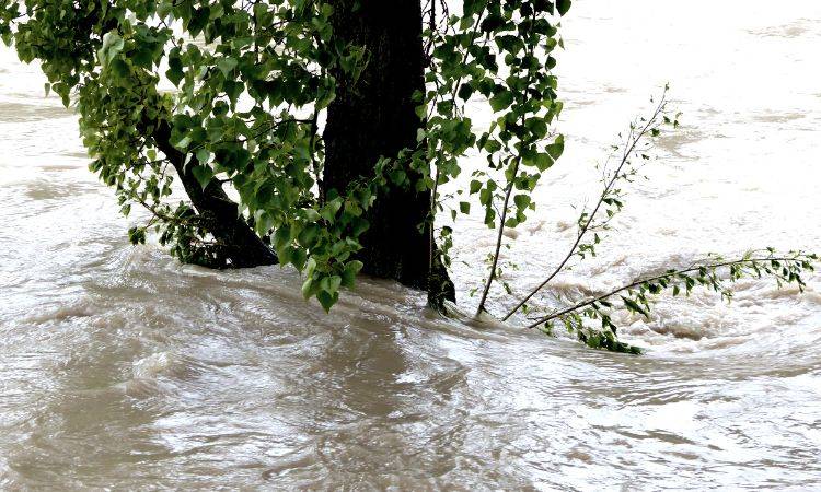PIMA provided medical assistance to over 10,000 flood victims