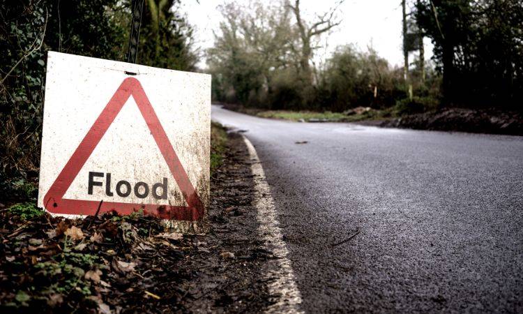 Sindh govt sets up free health camps to support flood victims 