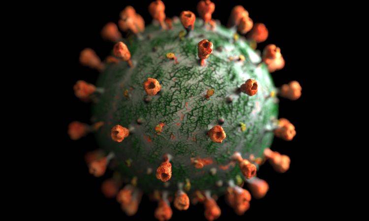 Azra meets steering committee on COVID-19 vaccines