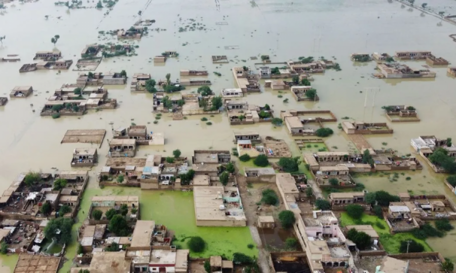 Situation report on Pakistan’s floods: WHO