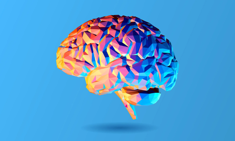 Repeated concussions can thicken the skull, study finds