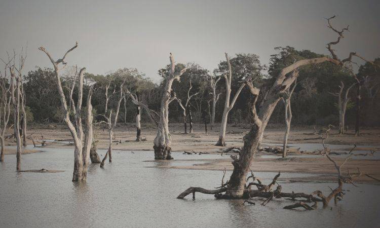 PMA delegation visits flood-affected areas of Sindh