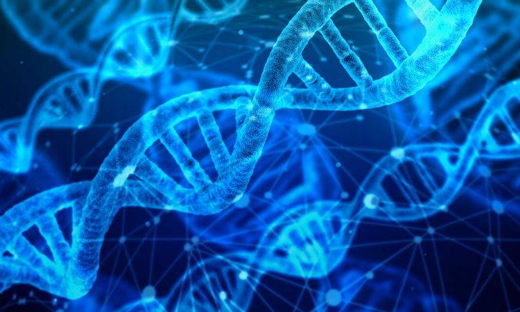 SFDL conducts more than 5000 DNA & serology analysis