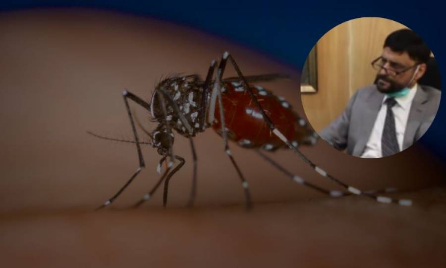 CEO SHCC Ahson Qavi gives public health message amid rising dengue cases