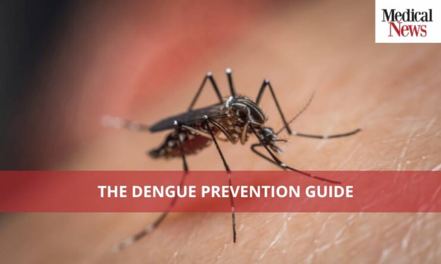 The Dengue Prevention Guide