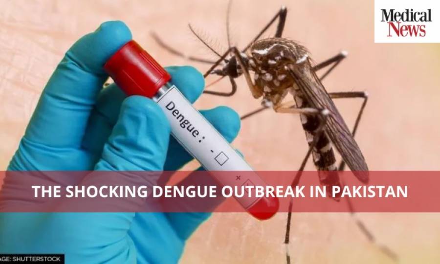 The Shocking Dengue Outbreak in Pakistan