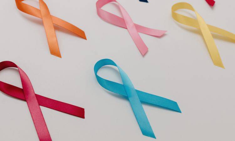 Arif Alvi calls on Chambers of Commerce to join campaign as partners