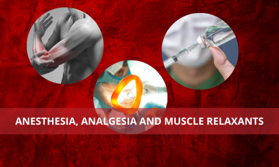Anesthesia, Analgesia and Muscle Relaxants