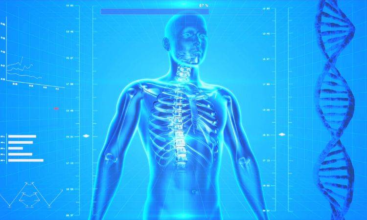 JPMC observes World Anatomy Day