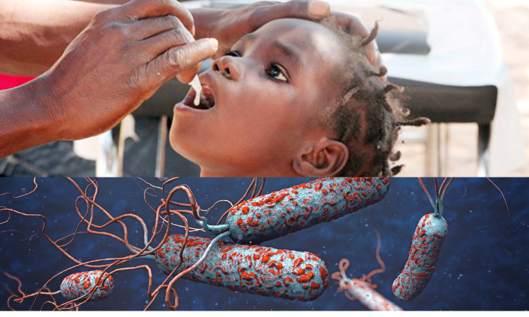 Shortage of cholera vaccines leads to temporary suspension of two-dose strategy, as cases rise worldwide