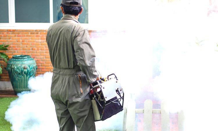 Literacy Dept initiates anti-dengue drive across province