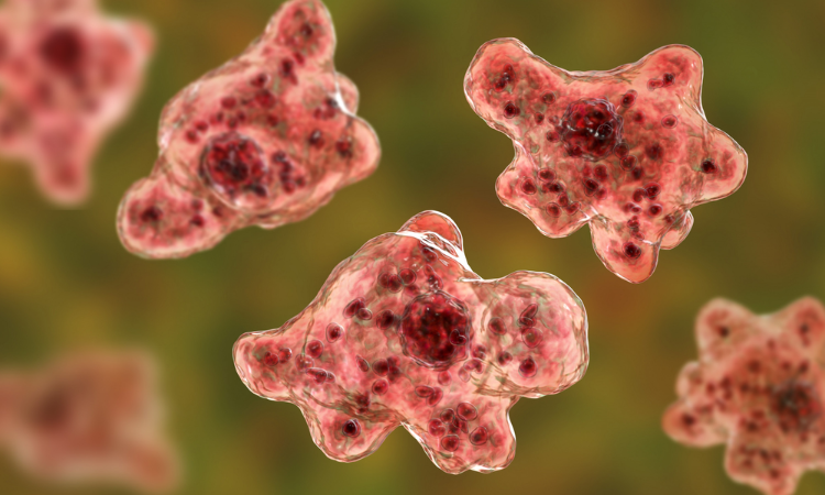 Naegleria claims young life in Karachi  