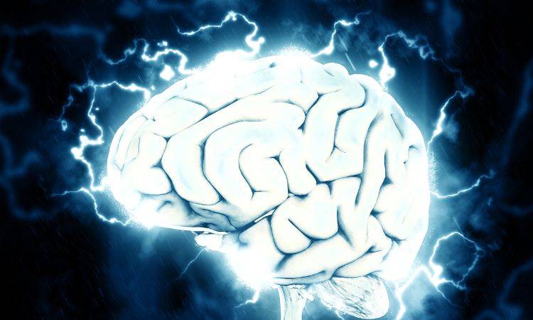Why do scientists develop human brain cells in research labs?