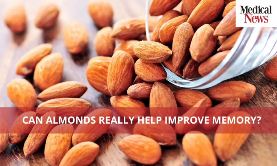 Can Almonds Really Help Improve Memory?