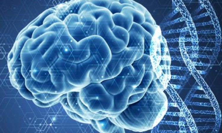 Major cerebral palsy gene revealed 