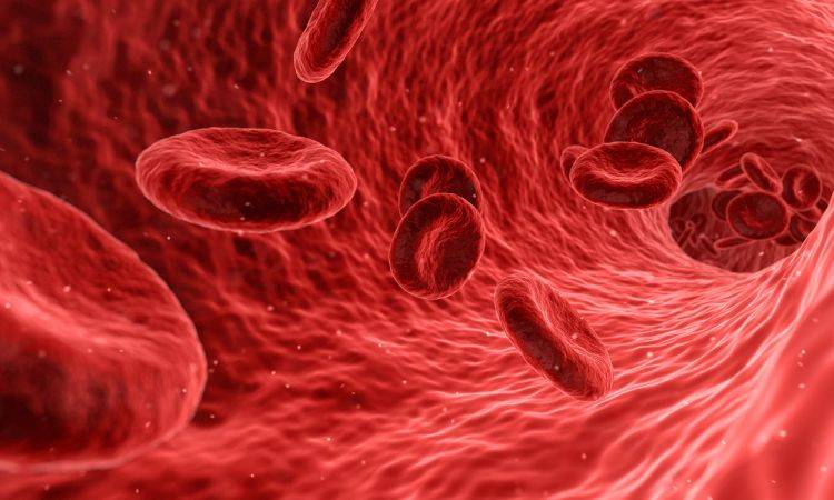 Shingles can seriously end your life