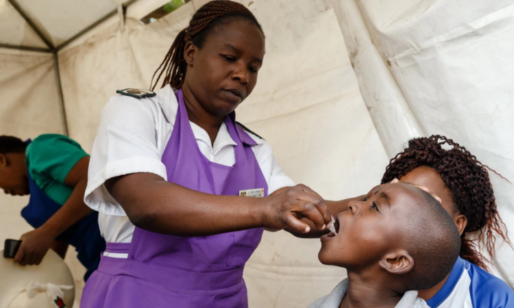 600 000 doses of cholera vaccine arrive in Lebanon amidst evolving outbreak