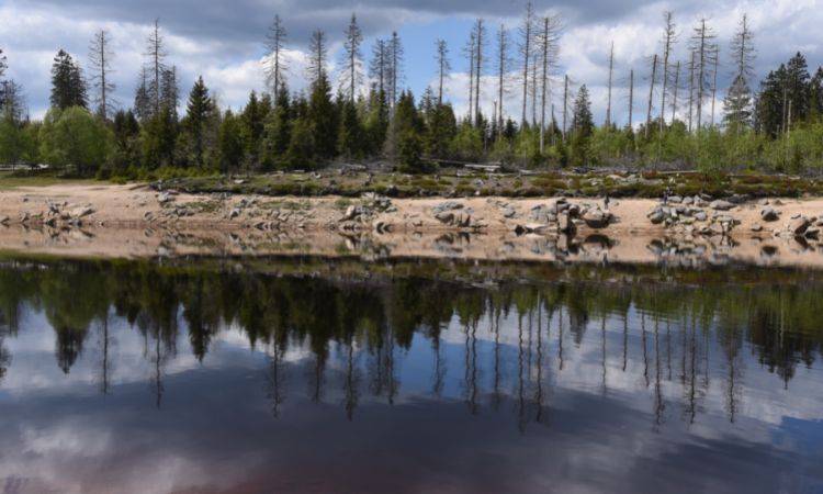 Climate change more dangerous than cancer: UNDP